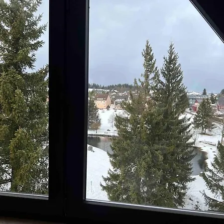 Schoene Maisonette-Ferienwohnung Fuer 2-5 Personen Schoenwald im Schwarzwald Exterior photo
