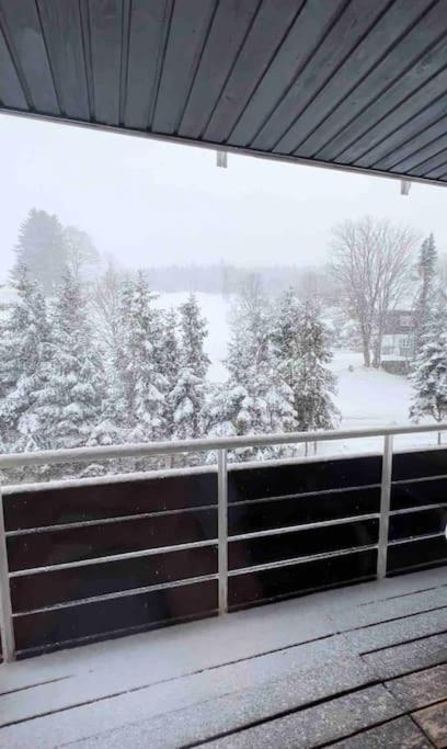 Apartment Schoene Maisonette-ferienwohnung Fuer 2-5 Personen Schoenwald im Schwarzwald